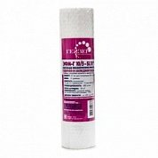 Картридж Гейзер ЭФМ-Г 1/0,5 мкм 10" SL для ГВС двухступенчатый 10" Slim Line