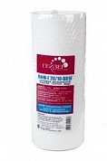 Картридж Гейзер ПФМ-Г 20/10 мкм 10" BB для ГВС двухступенчатый 10" Big Blue